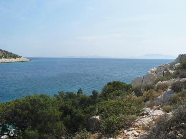 IMG_6626.jpg
