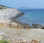 IMG_6631.jpg