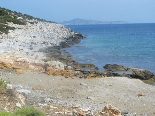 IMG_6631.jpg