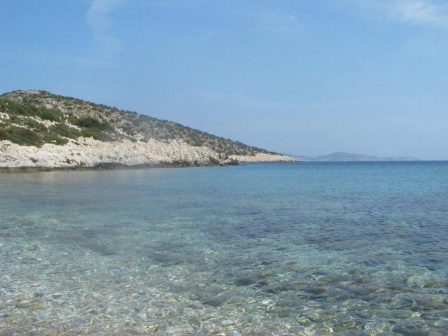 IMG_6634.jpg