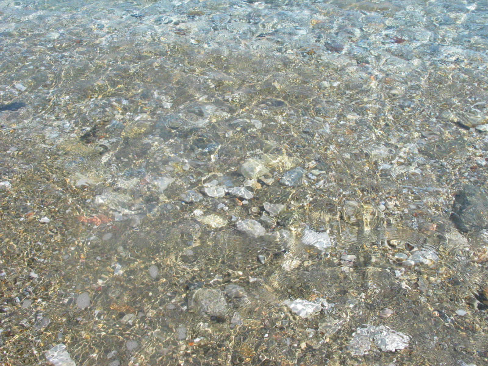 IMG_6635.jpg
