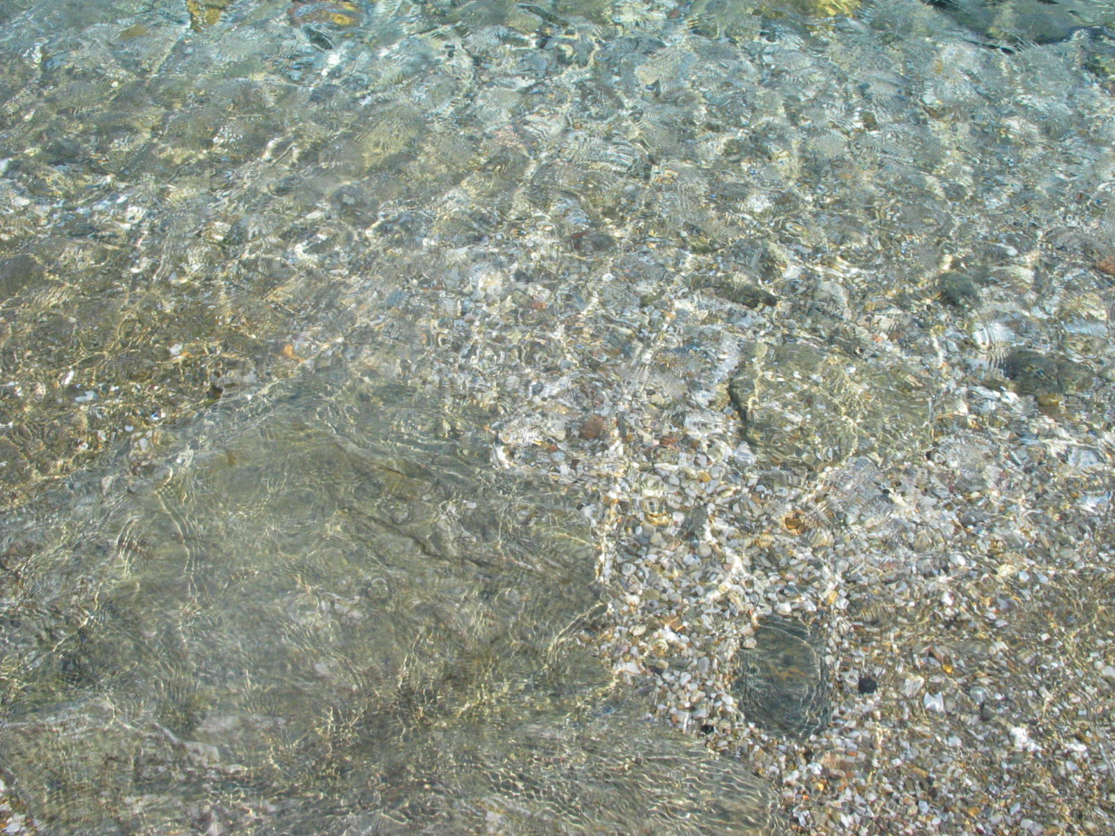 IMG_6636.jpg