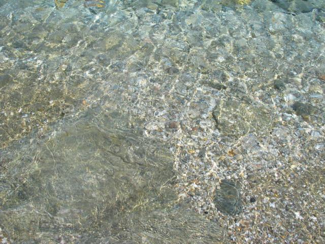 IMG_6636.jpg