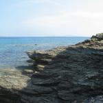 IMG_6638.jpg