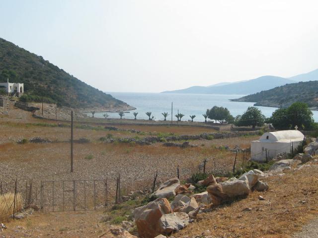 IMG_6651.jpg