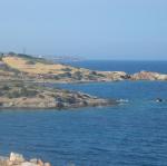 IMG_6652.jpg