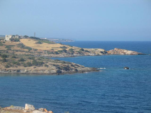 IMG_6652.jpg