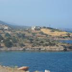 IMG_6653.jpg