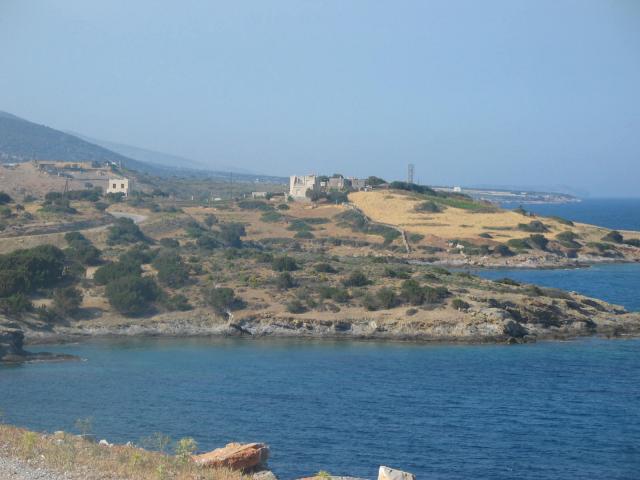 IMG_6653.jpg