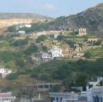 IMG_6656.jpg