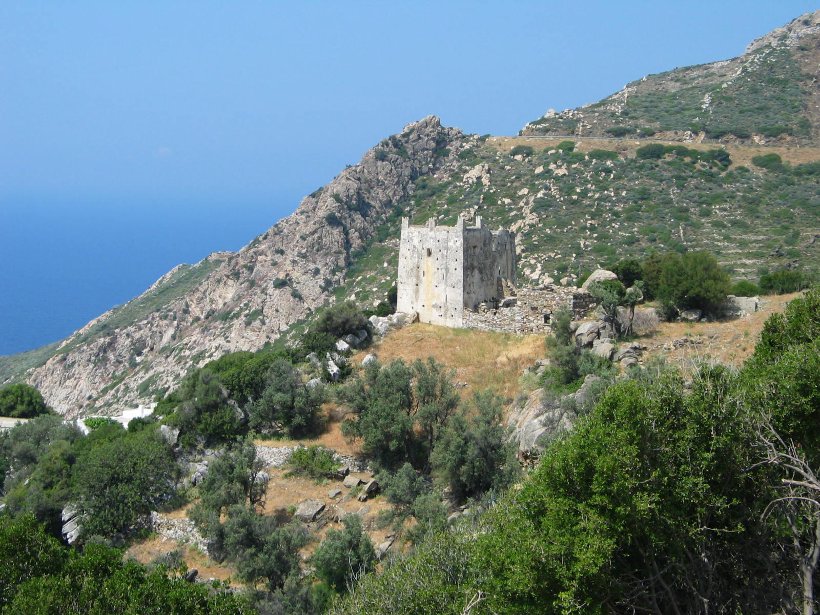 IMG_6661.jpg