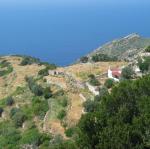IMG_6663.jpg