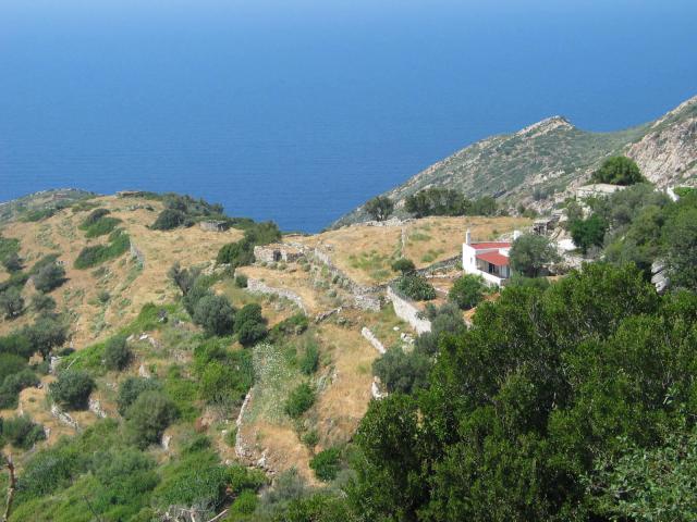 IMG_6663.jpg