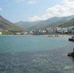 IMG_6665.jpg