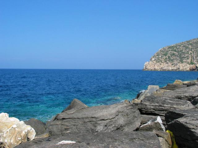 IMG_6666.jpg