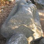 IMG_6688.jpg