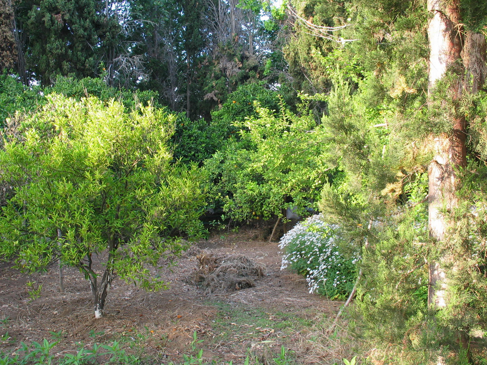 IMG_6689.jpg