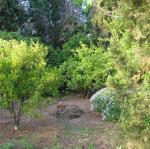 IMG_6689.jpg