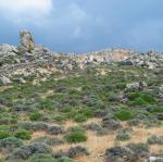 IMG_6698.jpg