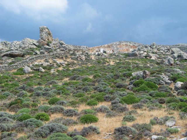 IMG_6698.jpg
