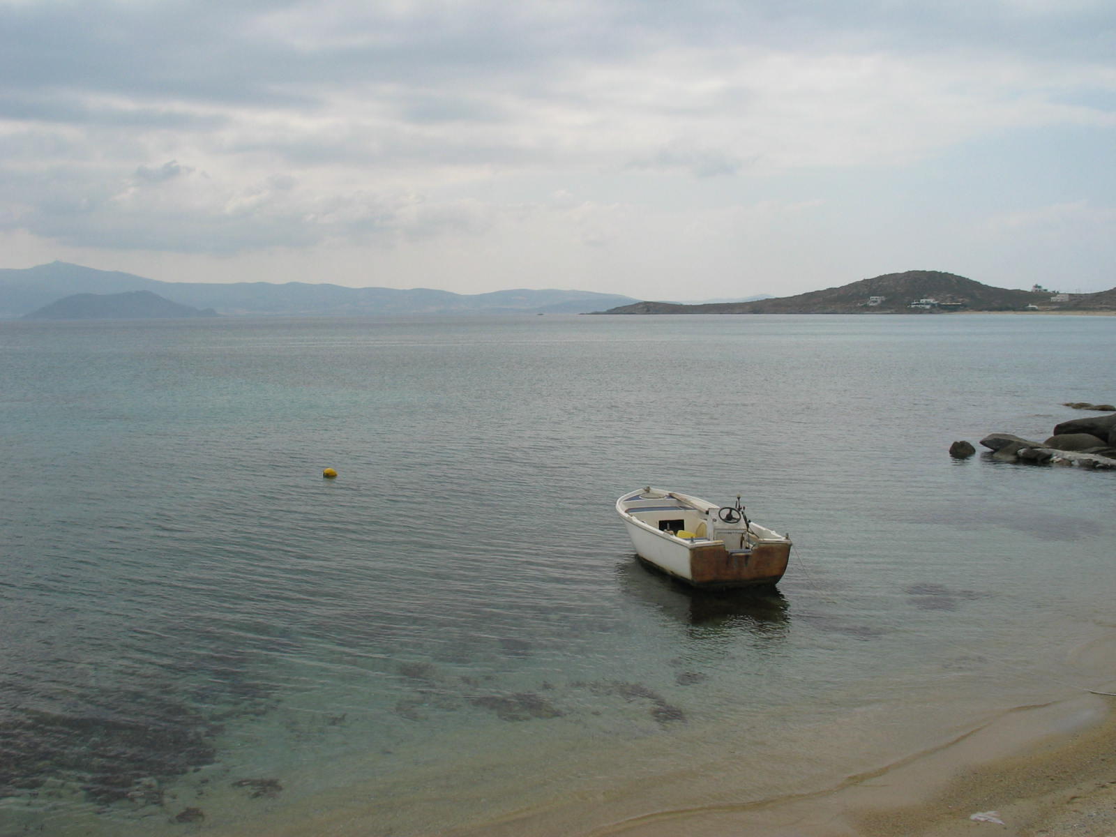IMG_6700.jpg