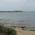 IMG_6702.jpg