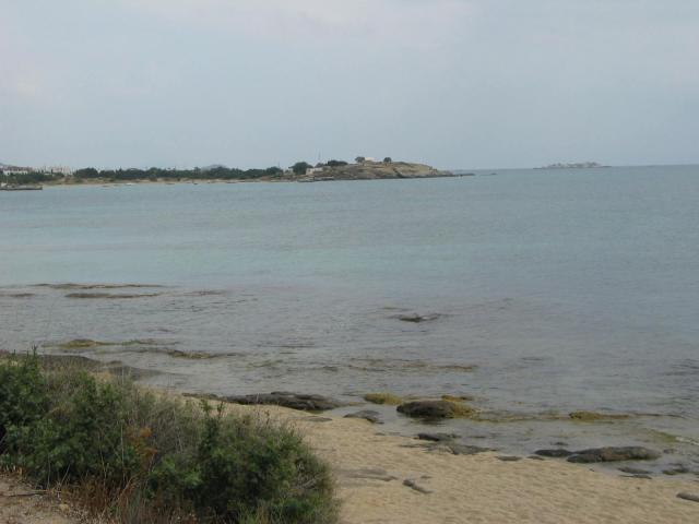 IMG_6702.jpg