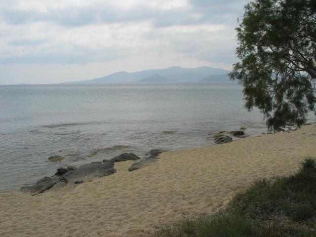 IMG_6703.jpg