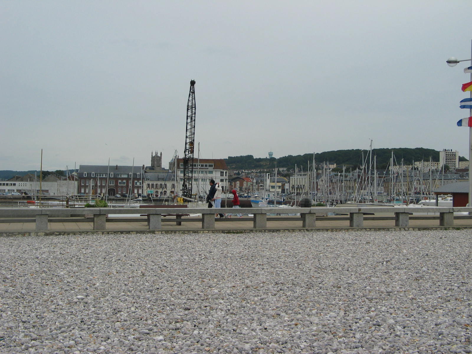IMG_6794.jpg