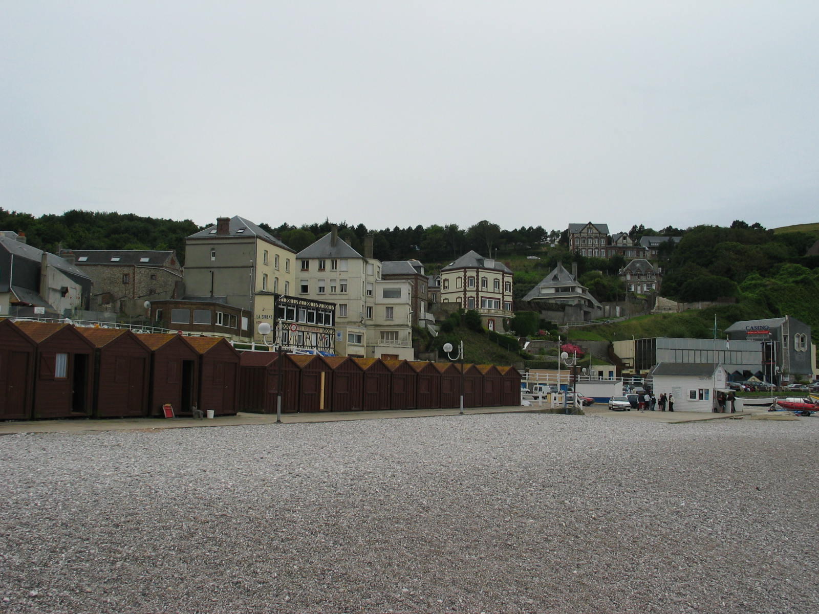 IMG_6800.jpg