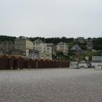 IMG_6800.jpg