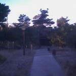 01_11_05_0706.jpg