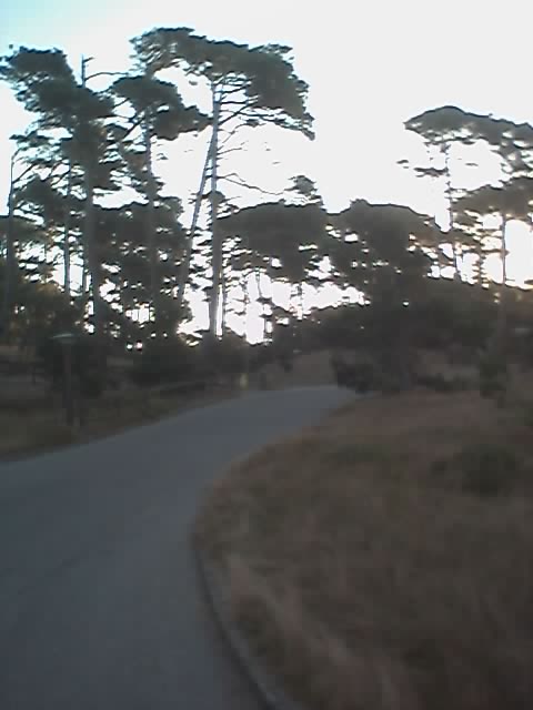 01_11_05_0710.jpg