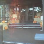 01_11_05_0725.jpg