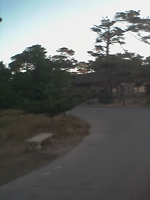 01_11_05_0726.jpg