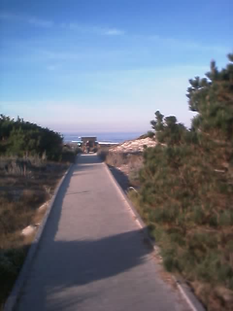 01_11_05_0729.jpg