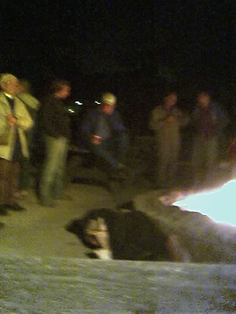 01_11_05_2037.jpg