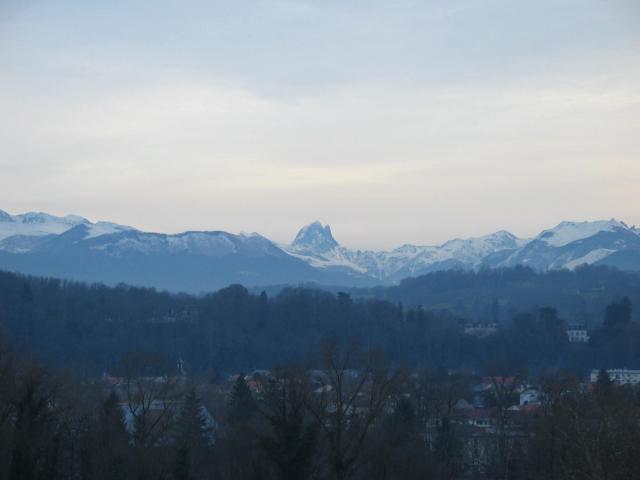 IMG_7174.jpg