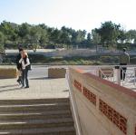 IMG_5475.jpg