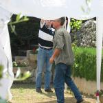 IMG_5536.jpg