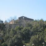 IMG_5459.jpg