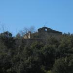 IMG_5460.jpg