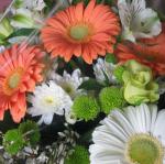 IMG_5547.jpg
