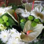 IMG_5548.jpg