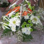 IMG_5570.jpg