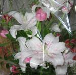 IMG_5571.jpg