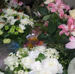 IMG_5987.jpg