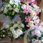 IMG_5992.jpg