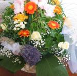 IMG_6014.jpg