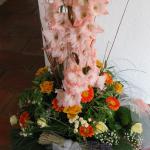 IMG_6015.jpg